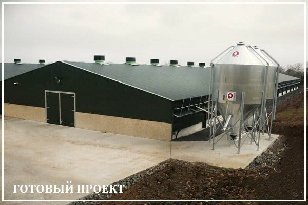 Этапы возведения птицефабрики от завода ВелесТент-внт